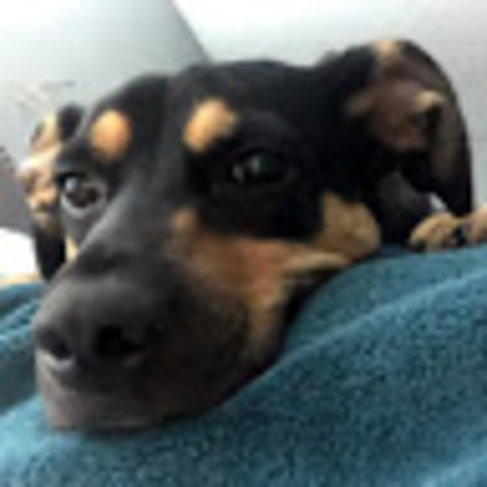 Meet your Posher, Akansha